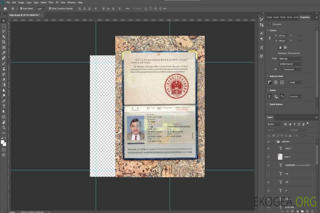 Aperçu photo du China Pass (2007-2009) template
